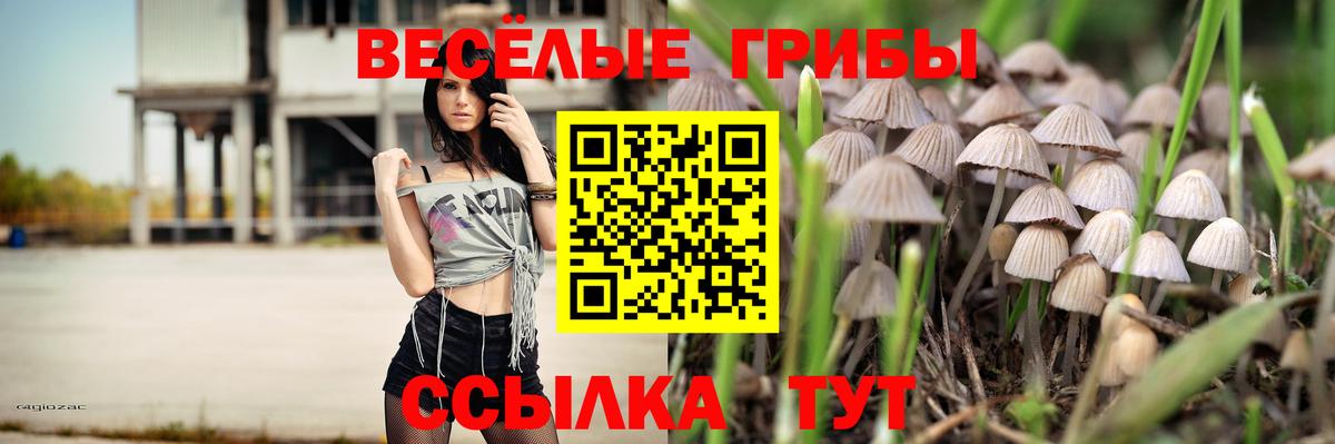 сколько стоит  Псилоцибиновые грибы Psilocybe  Вход с VPN  Подольск  Галлюциногенные грибы Psilocybe 